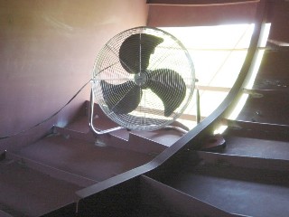 A fan